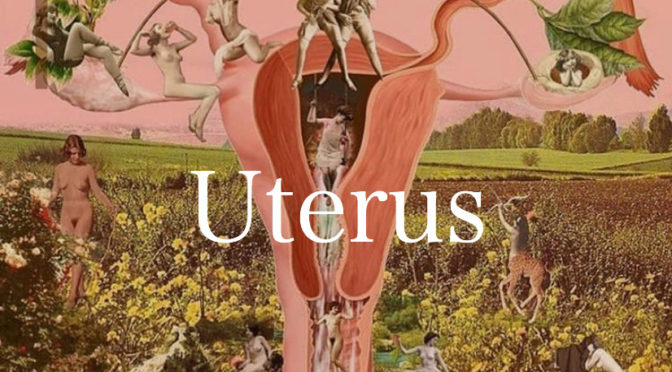 『大切な子宮のおはなし会』〜女性に優しいロースイーツとバスボム作り〜